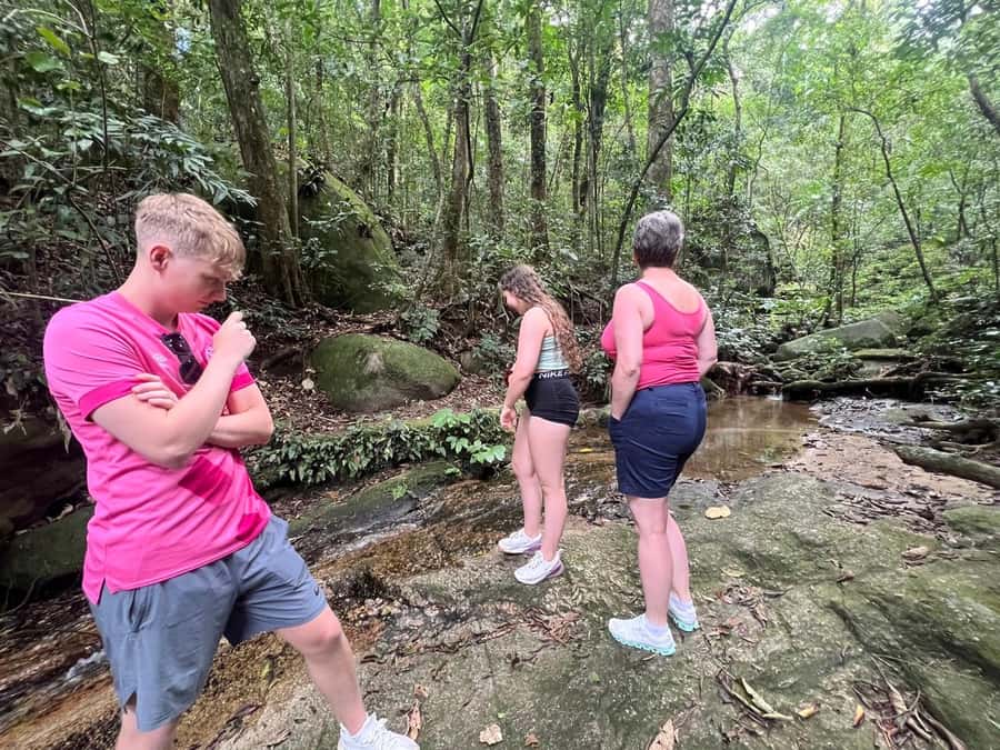 2 Days Private Tour in Rio de Janeiro - Pickup and Drop-Off: The Small Things That Make Big Days Work