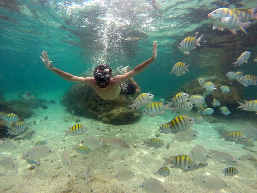 Angra dos Reis and Ilha Grande: Small-Group Fast-Boat Tour - Who This Tour Suits Best (and Who Should Skip It)