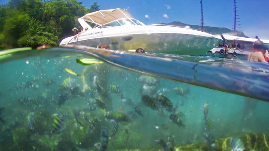 Angra dos Reis: Super Lagoa Azul Speedboat Tour - Stops 3 and 4: Grumixama Beach and Araçá Beach for calmer swims