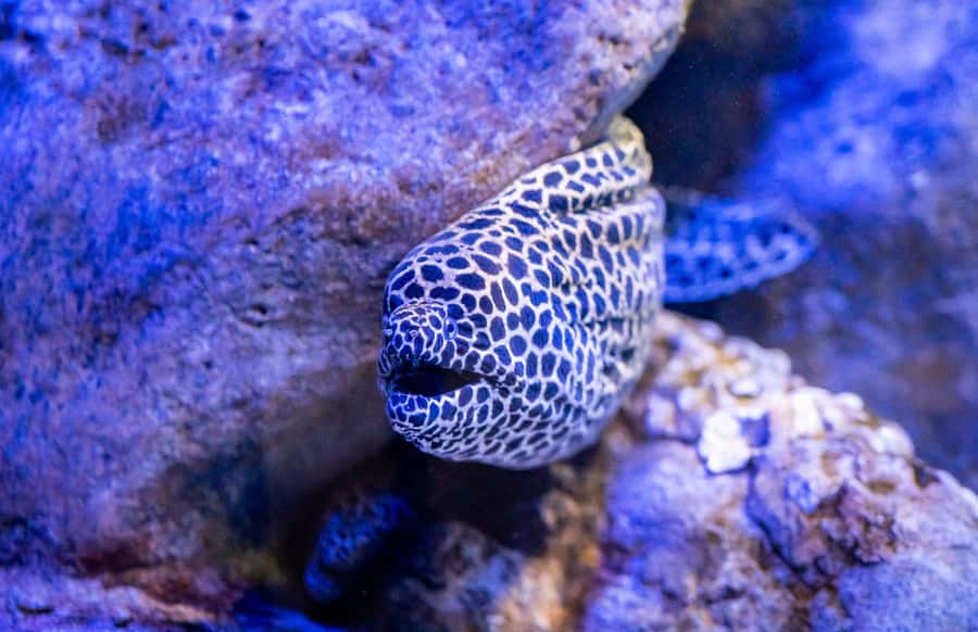 AquaRio and Olympic Boulevard Small Group Tour - From Cold-Storage Warehouse to Sea Life: How the Visit Flows