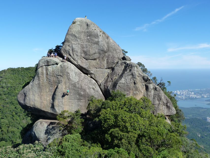 Bico do Papagaio Guided Hiking Tour in the Tijuca Forest - Getting to Bico do Papagaio: location, timing, and what “half day” really feels like