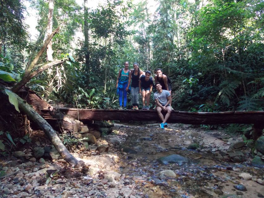 Bico do Papagaio Guided Hiking Tour in the Tijuca Forest - The optional abseil from Bico do Papagaio: for thrill-seekers