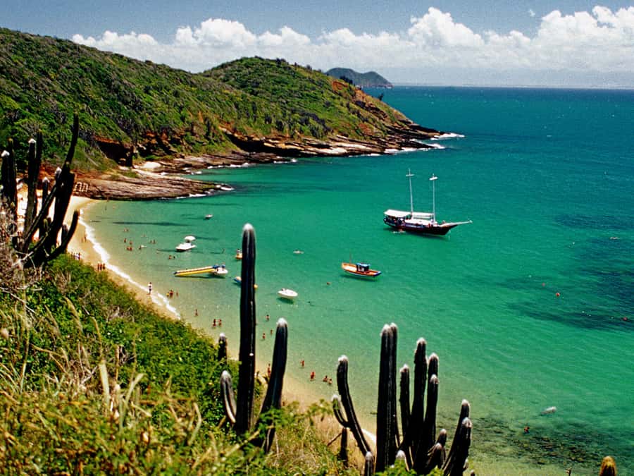 Búzios Day Trip from Rio de Janeiro - Key Things That Make This Day Trip Worth It