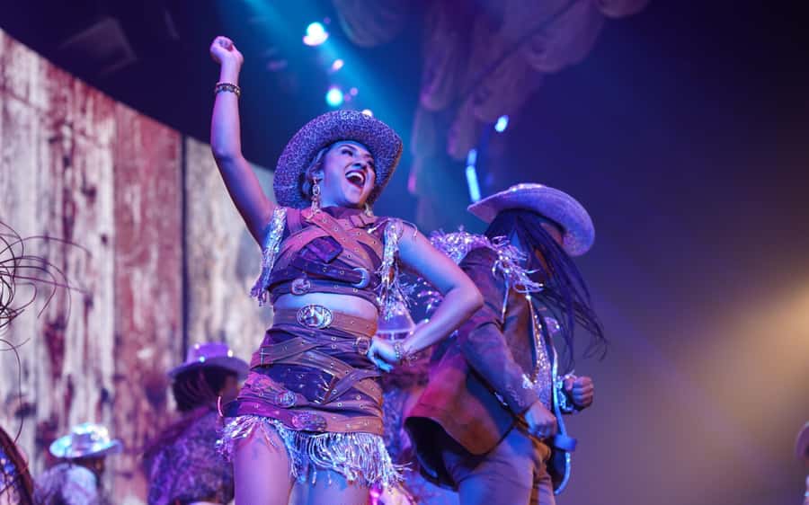 By Night Tour: Roxy Dinner Show & Transfer - Should you book the Roxy Dinner Show?