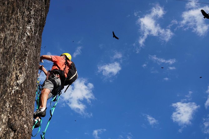 Climb Rio de Janeiro: Rock Climbing Tailored for All Levels - Urca as the Launch Pad for Sugar Loaf Climbing
