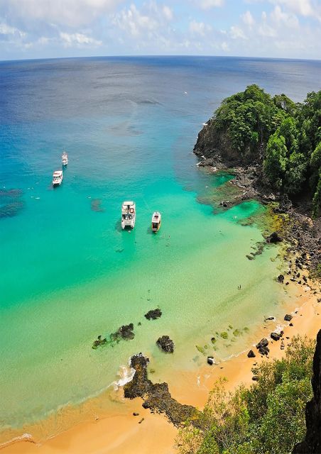 Discover Noronha: 7-Hour Ilhatour Adventure - Praia do Leão: big beach energy, easier pacing