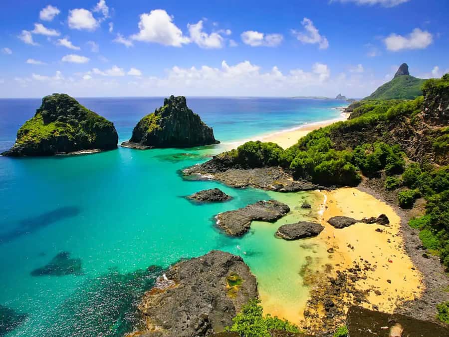 Explore Fernando de Noronha: 7-Hour Ilhatour - Key points to know before you go