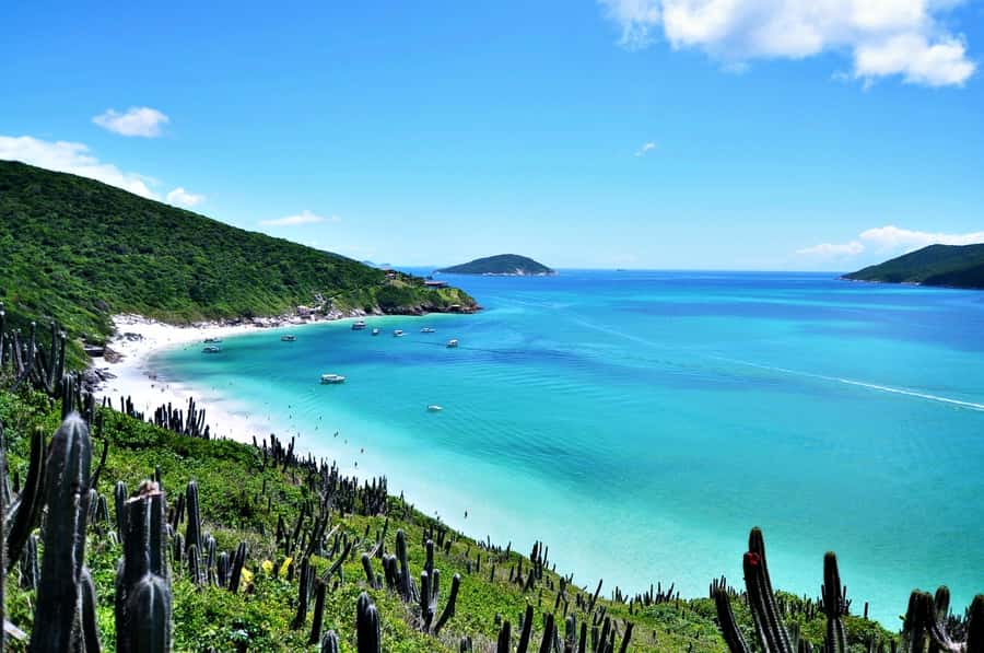 From Rio: Arraial do Cabo - The Brazilian Caribbean Daytrip - Key things to know before you go