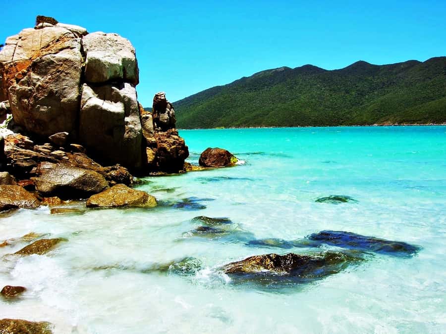 From Rio: Arraial do Cabo - The Brazilian Caribbean Daytrip - Free time in Arraial do Cabo: what to do with your window