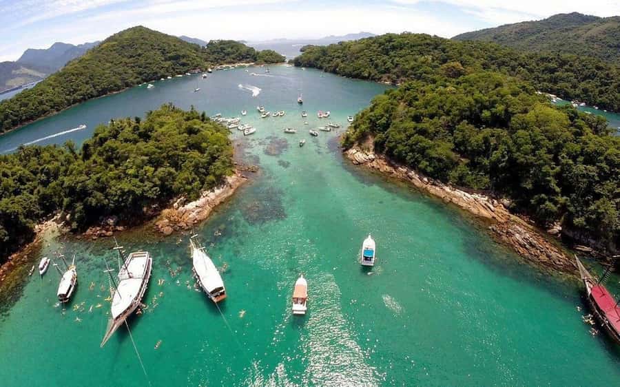 From Rio de Janeiro: Angra dos Reis & Ilha Grande Day Tour - Should you book this Angra dos Reis & Ilha Grande day tour?