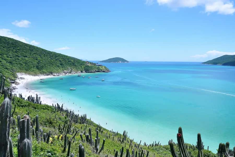 From Rio de Janeiro: Arraial do Cabo Island Day Trip - Key things that make this trip worth your time