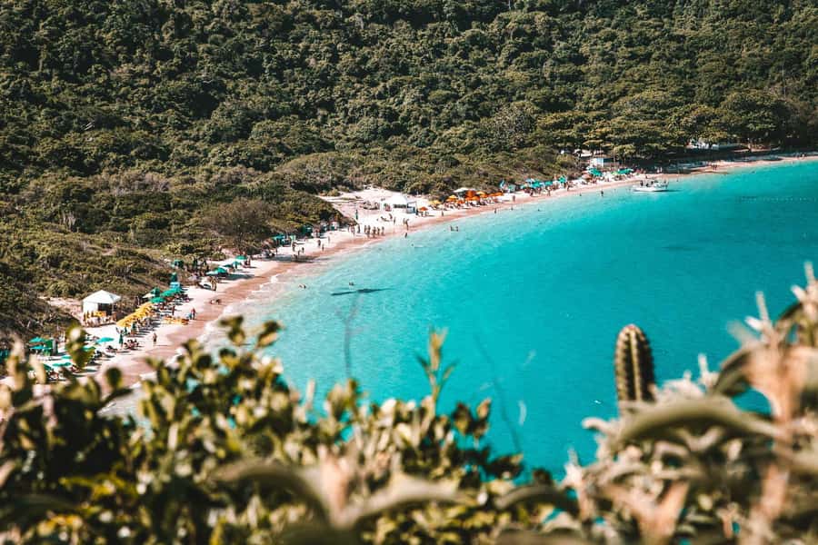 From Rio de Janeiro: Arraial do Cabo Island Day Trip - Lunch and sea-day comfort: the all-you-can-eat buffet approach