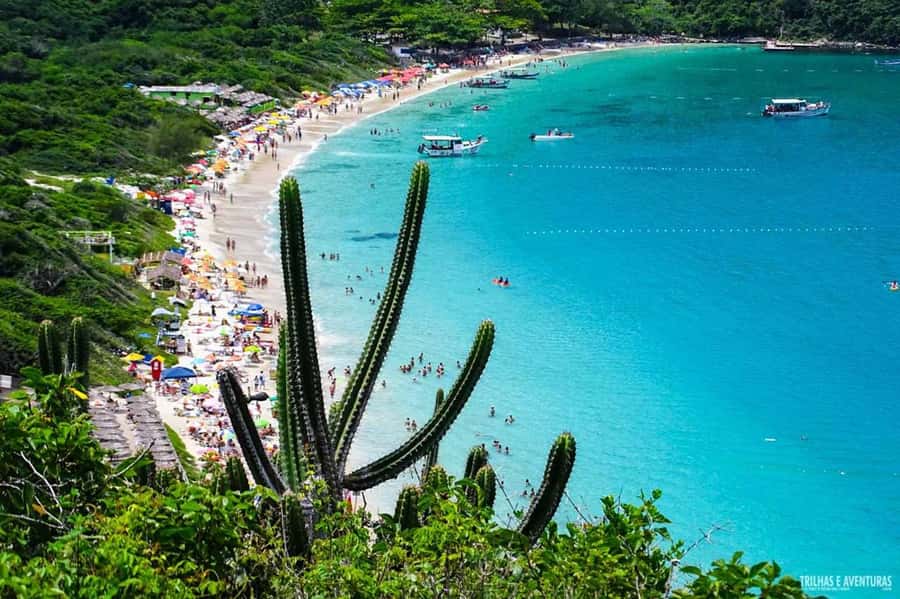 From Rio de Janeiro: Arraial do Cabo Island Day Trip - Price and value: what $67 covers and what adds up locally
