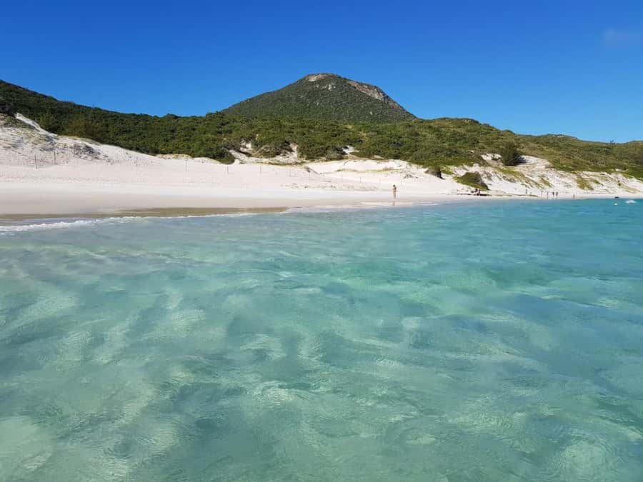 From Rio de Janeiro: Arraial do Cabo Island Day Trip - Rio pickup to the coast: what the long travel day feels like