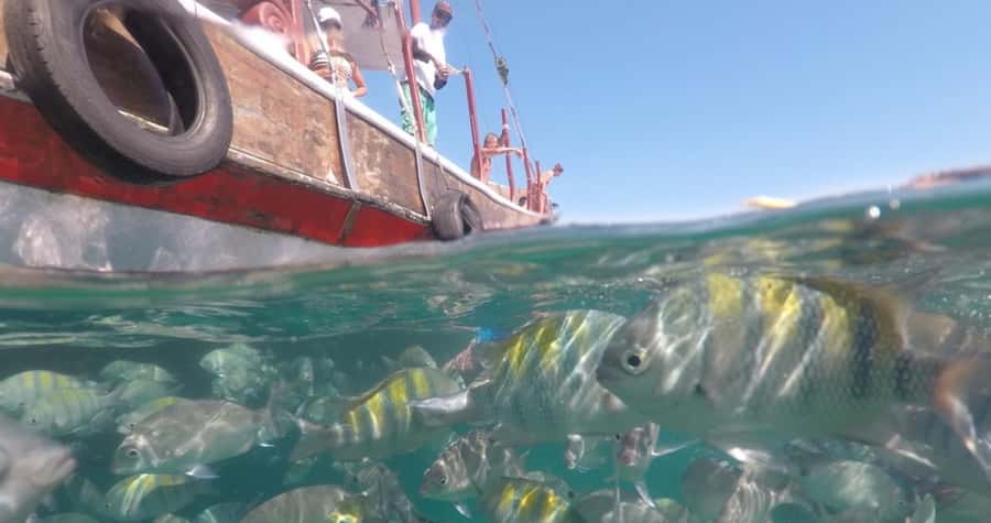From Rio de Janeiro: Ilha Grande Day Trip - What to Bring (Because You’ll Actually Use It)