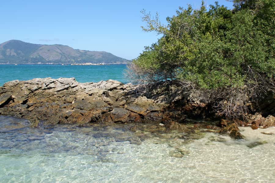 From Rio: Full-Day Angra dos Reis Cruise & Island Tour - Key Things To Know Before You Go