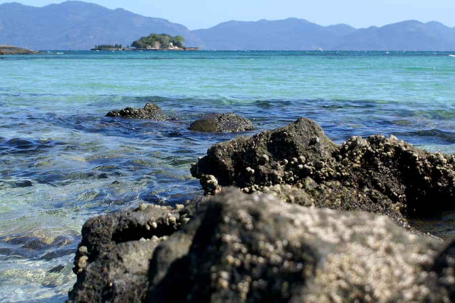 From Rio: Full-Day Angra dos Reis Cruise & Island Tour - Schooner Cruise Through Sepetiba Bay: Wildlife and Rainforest Views
