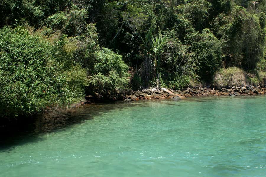 From Rio: Full-Day Angra dos Reis Cruise & Island Tour - Swimming Spots Only Reachable By Boat: What Your Water Time Really Looks Like
