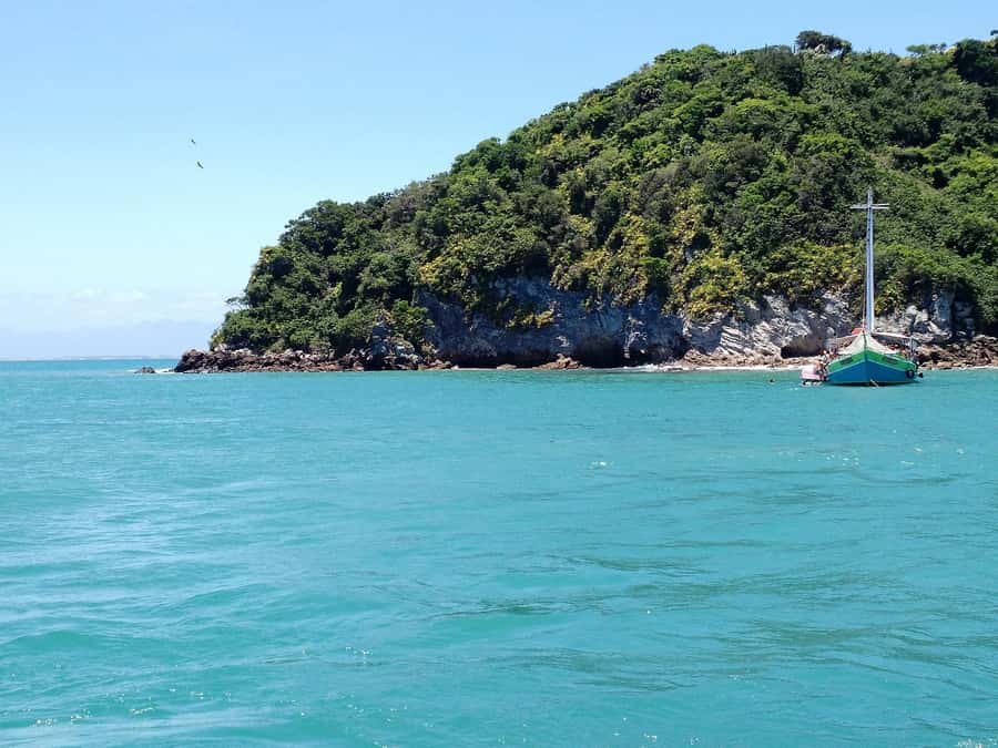 From Rio: Full Day in Búzios with Catamaran Tour and Lunch - The catamaran cruise experience: comfort, DJ energy, and real sea views