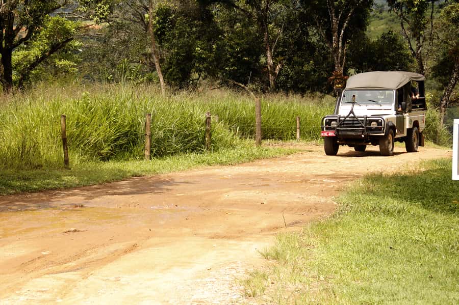 Full-Day Jungle Jeep Waterfall and Cachaça Distillery Tour - Riding Into Serra da Bocaina Country From Paraty