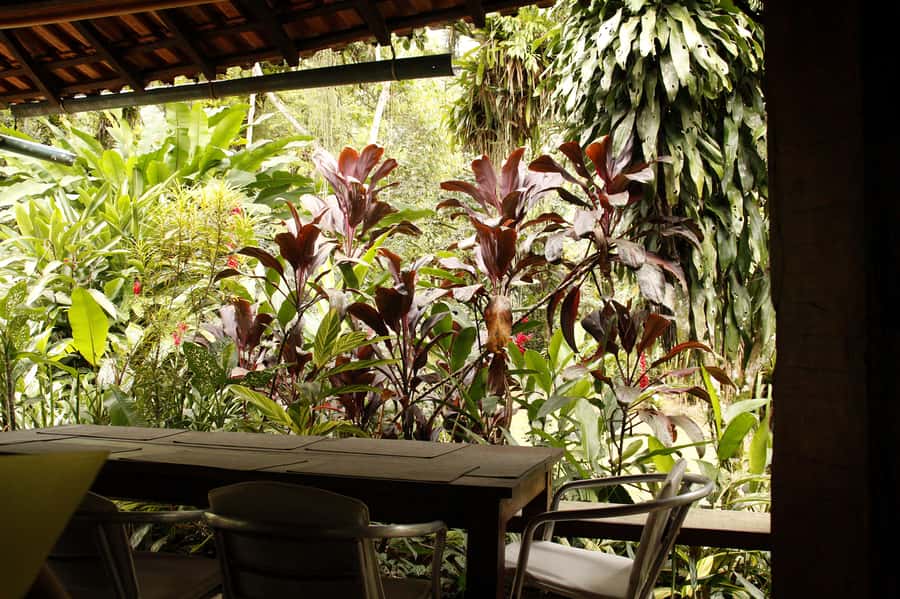 Full-Day Jungle Jeep Waterfall and Cachaça Distillery Tour - Murycana Farm and the Second Cachaça Distillery Stop
