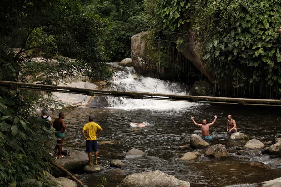 Full-Day Jungle Jeep Waterfall and Cachaça Distillery Tour - The Bromeliad Exhibition: 300+ Species to Spot and Compare