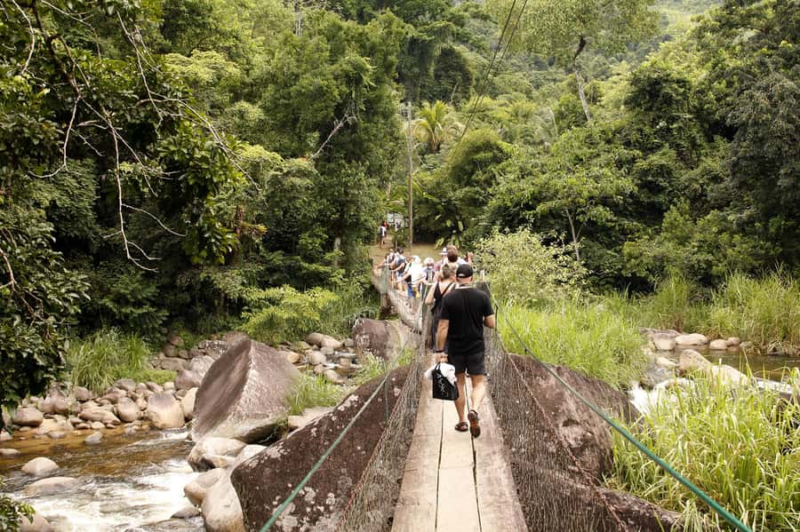 Full-Day Jungle Jeep Waterfall and Cachaça Distillery Tour - Price and Timing: Is $60 Worth It for Your Style?