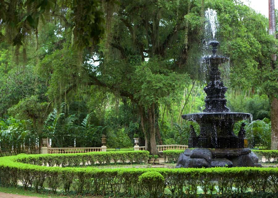 Green Rio: Guided Tour of Botanical Garden and Lage Park - Avenue of Royal Palms and the Japanese Garden Details
