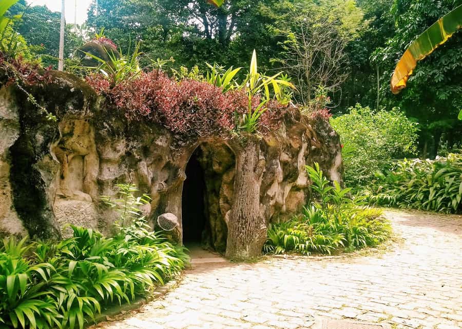 Green Rio: Guided Tour of Botanical Garden and Lage Park - Christ the Redeemer Views Without the Usual Hassle