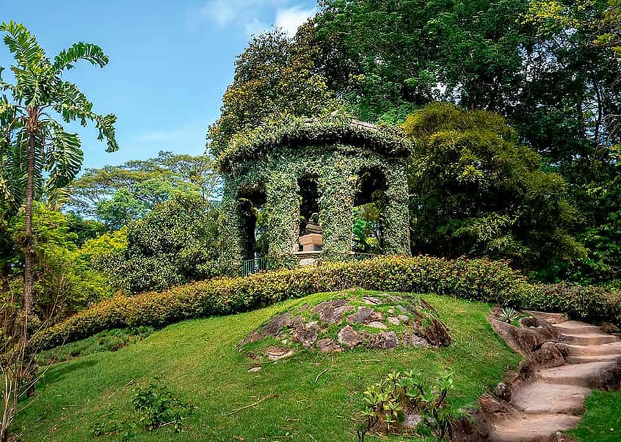 Green Rio: Guided Tour of Botanical Garden and Lage Park - Pickup and Drop-off: Leblon, Ipanema, Copacabana Options