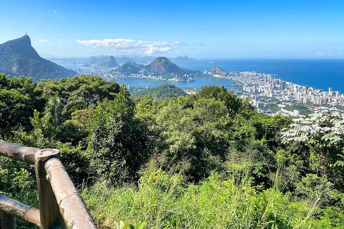 Hiking in the Tijuca Forest : Waterfalls and Caves - The Floresta da Tijuca hike: what to watch for beyond the trees