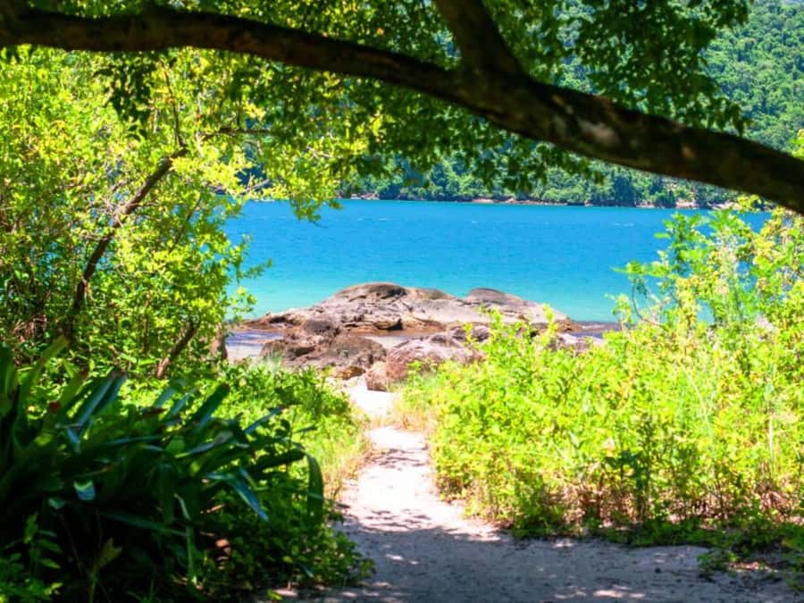 Idyllic Islands Private Speedboat Tour in Paraty - Who This Tour Suits Best (And Who Should Skip It)