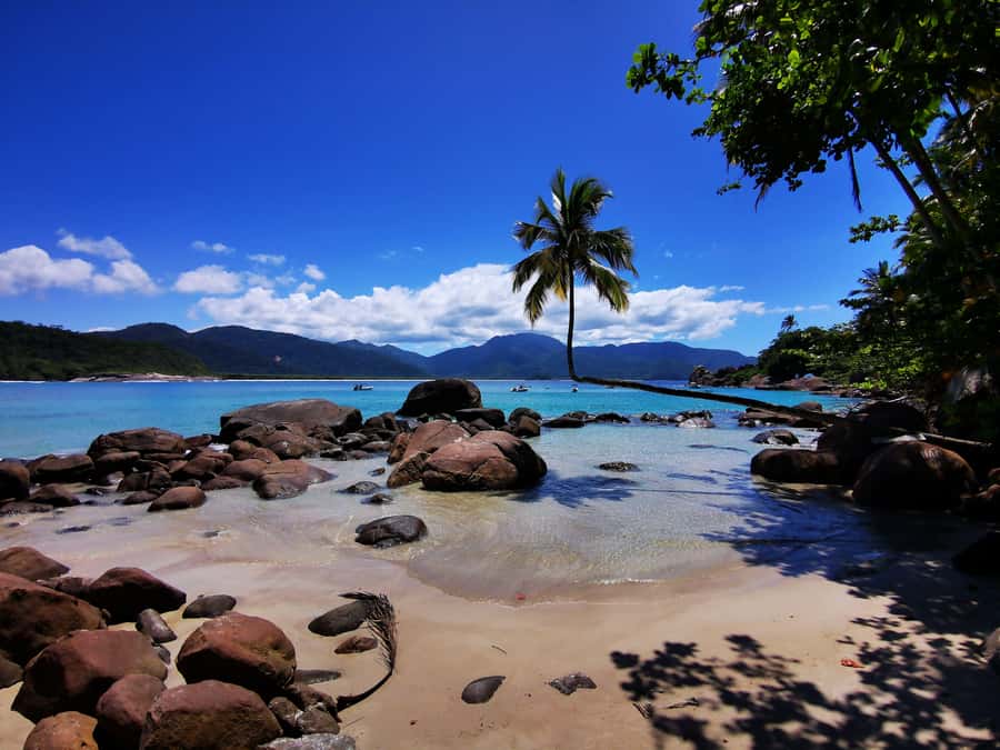 Ilha Grande: 360° Circumnavigation Speed Boat Tour - 8h - The Big Idea: A 360° Circumnavigation with Self-Guided Beach Time