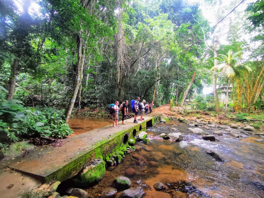 Ilha Grande: Private Hiking with Forest, Beaches & Waterfall - Key highlights worth your attention