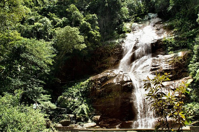 Jeep Adventure: Guided Tour through Tijuca Rain Forest - Mata Atlântica 101: The Lessons That Make the Forest Click