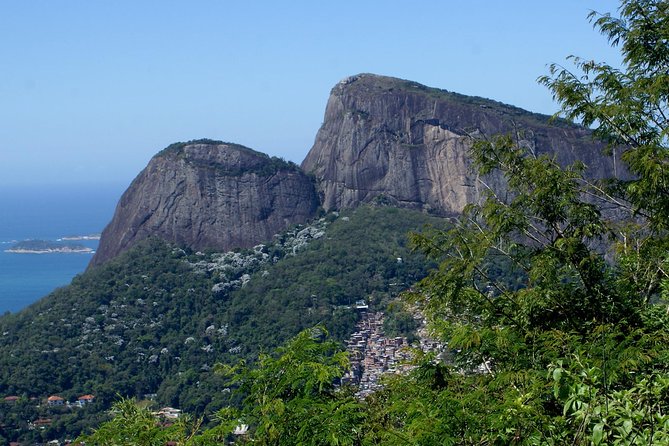 Jeep Adventure: Guided Tour through Tijuca Rain Forest - Timing, Comfort, and What to Bring for a Breezy Open-Top Jeep