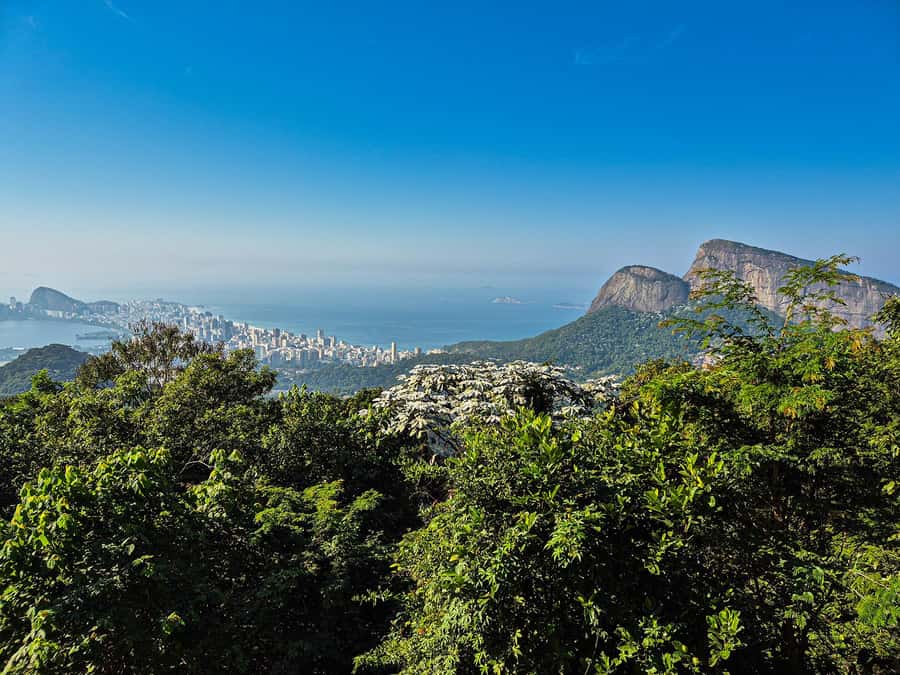 Jeep'n'Culture: Rocinha Favela and Tijuca Rainforest Tour - Cascatinha Taunay + the visitor area walk: what you’re actually doing