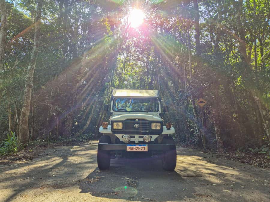 Jeep'n'Culture: Rocinha Favela and Tijuca Rainforest Tour - Time management: why some parts can feel short