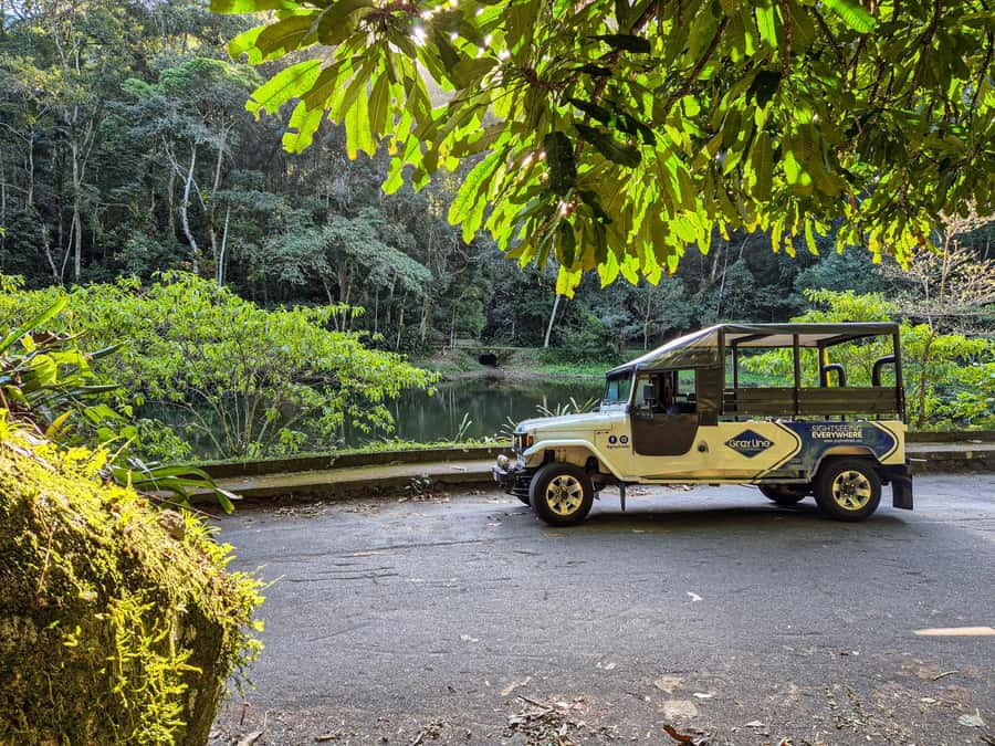 Jeep'n'Culture: Rocinha Favela and Tijuca Rainforest Tour - Tijuca Forest: getting real with the world’s largest urban forest