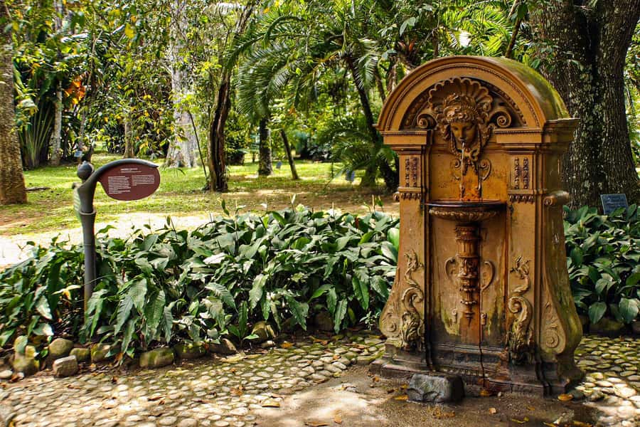 Jeep'n'Green: Rio Botanical Garden & Tijuca Rainforest Tour - Key things to know before you go