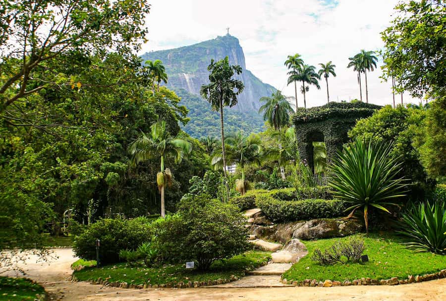 Jeep'n'Green: Rio Botanical Garden & Tijuca Rainforest Tour - Rio’s green side in 4 hours: how this tour stays focused