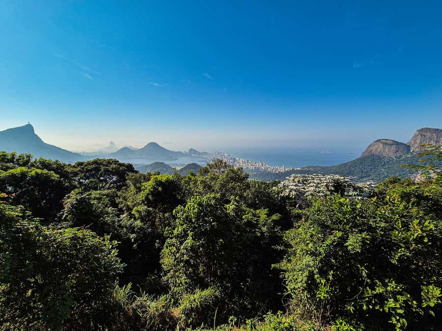 Jeep'n'Green: Rio Botanical Garden & Tijuca Rainforest Tour - Vista Chinesa: big panoramas, and why your day depends on the day of week