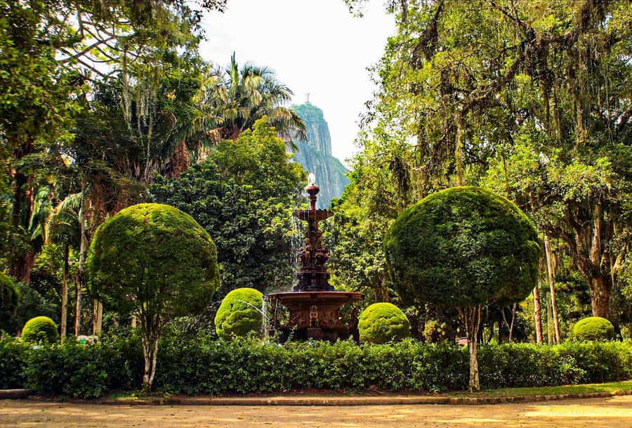 Jeep'n'Green: Rio Botanical Garden & Tijuca Rainforest Tour - The easy eco-trek: Cachoeira dos Macacos and waterfall timing