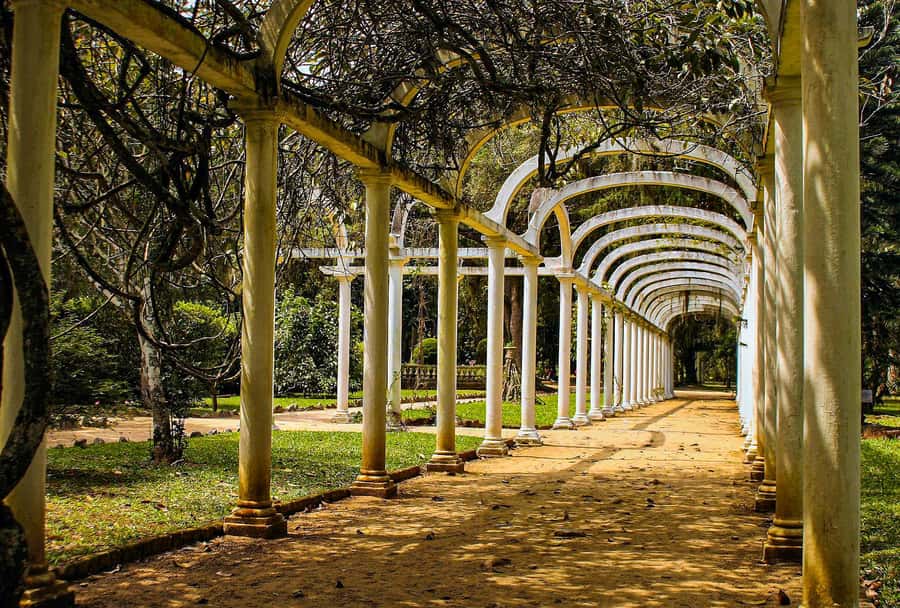 Jeep'n'Green: Rio Botanical Garden & Tijuca Rainforest Tour - Pepino Beach: a relaxed ending with hang gliders in the air