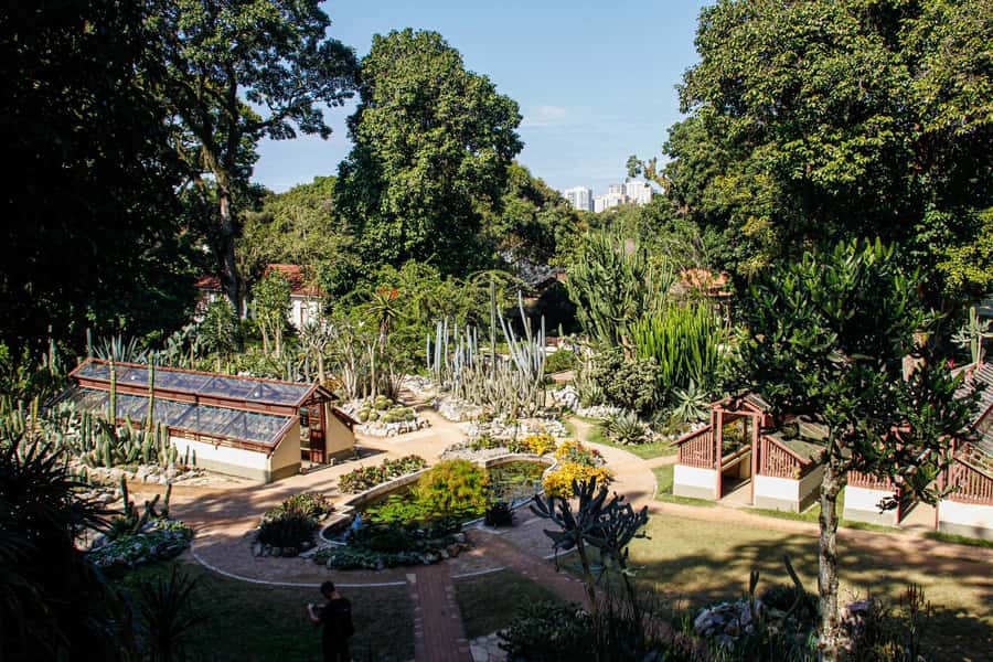 Jeep'n'Green: Rio Botanical Garden & Tijuca Rainforest Tour - Price and logistics: does $95 feel fair for what you get?