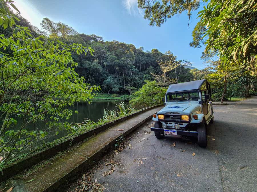 Jeep'n'Green: Rio Botanical Garden & Tijuca Rainforest Tour - Botanical Garden (1808): plants, history, and the view from down below Corcovado