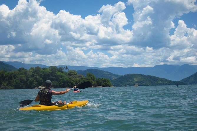 Kayaking Mangroves tour ( Natural Reserve ) - Key reasons this mangrove kayak tour is worth your time