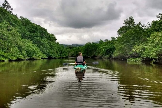 Kayaking to the mangroves - Kayaking to the Mangroves: The Quick Pitch