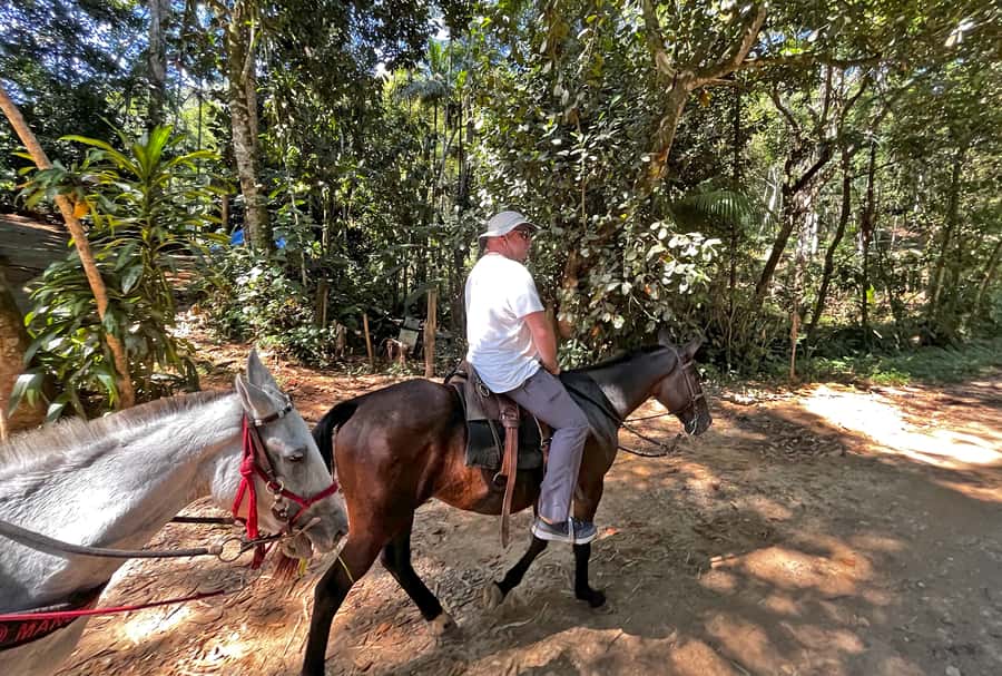 Paraty: 3-Hour Rainforest Horseback Ride - Should you book the Paraty 3-Hour Rainforest Horseback Ride?