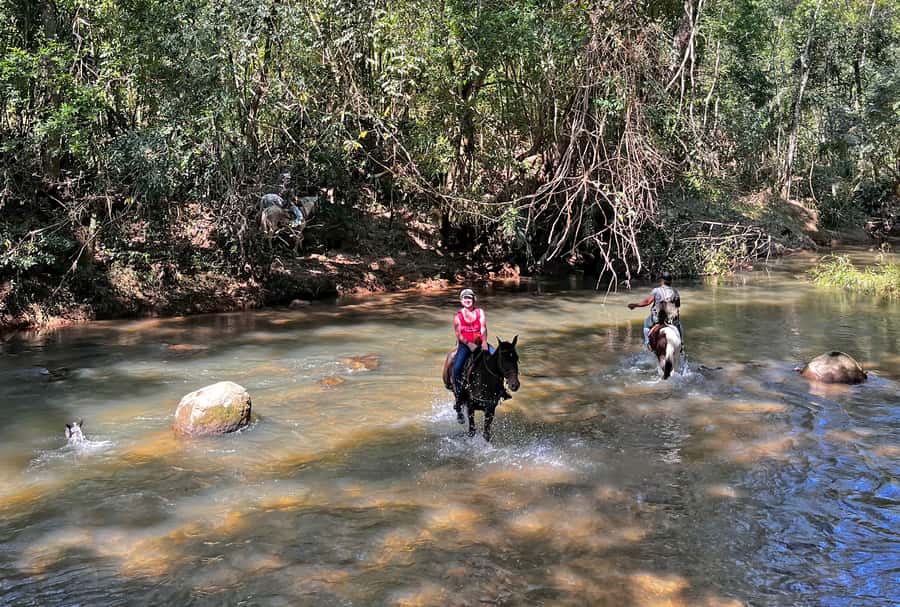 Paraty: 3-Hour Rainforest Horseback Ride - Getting to Pedras Azuis: the ride’s quiet warm-up